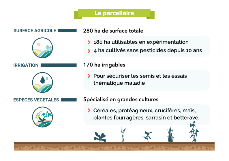 Parcellaire