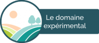 BoutonDomaine