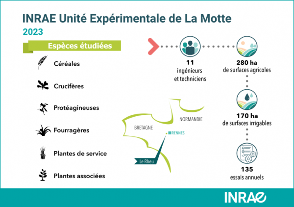 UE_Chiffres